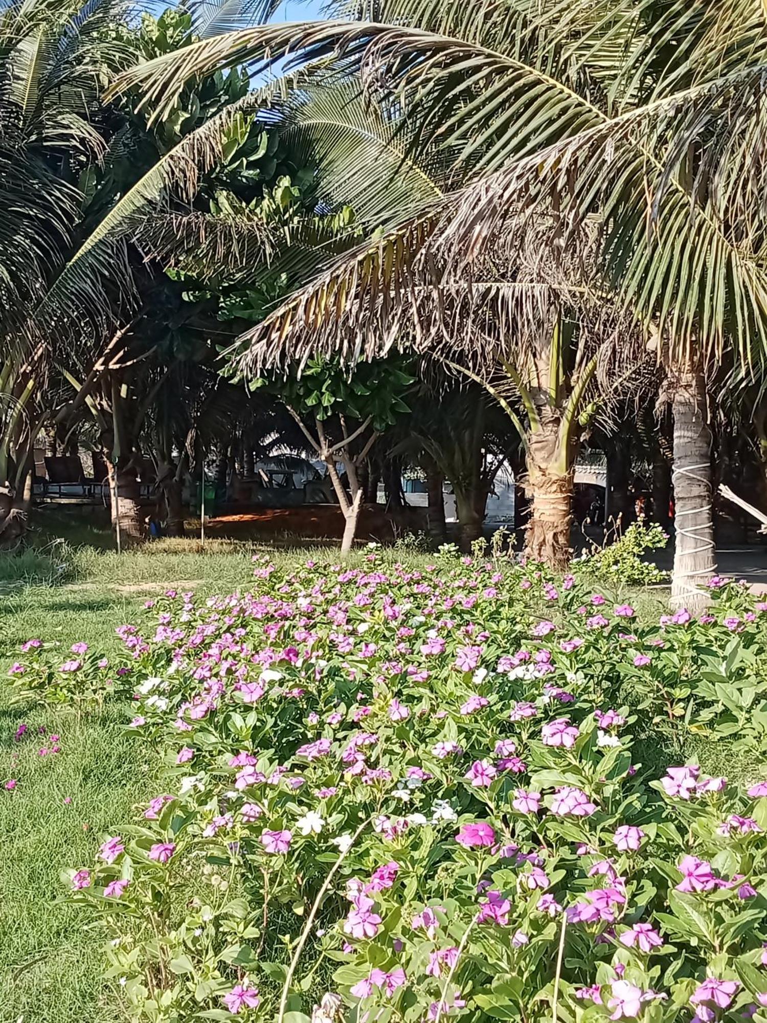 Bien Ngoc Homstay Phan Thiet Exterior foto