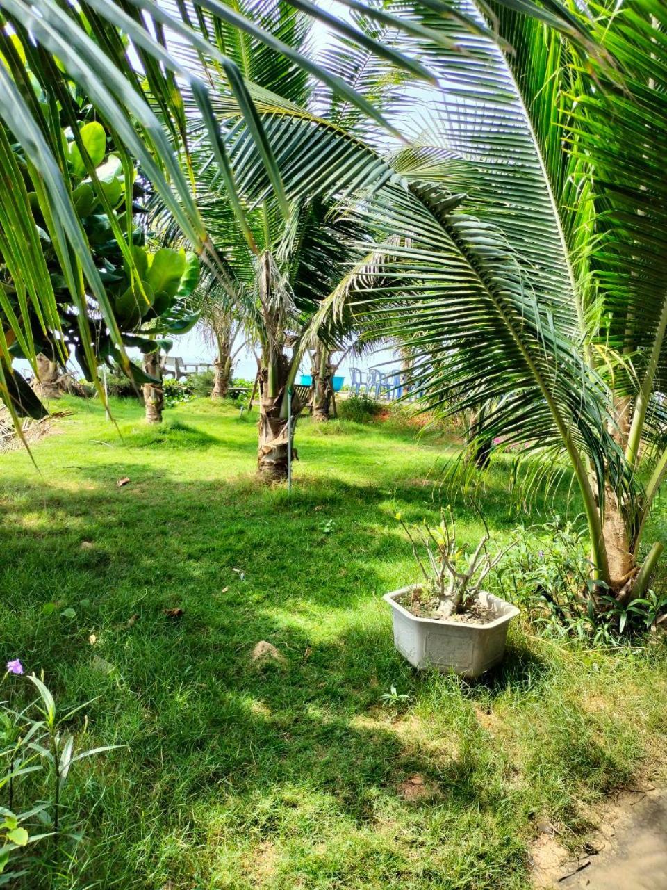 Bien Ngoc Homstay Phan Thiet Exterior foto